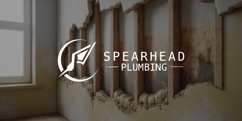 hidden leak plumbing st charles missouri